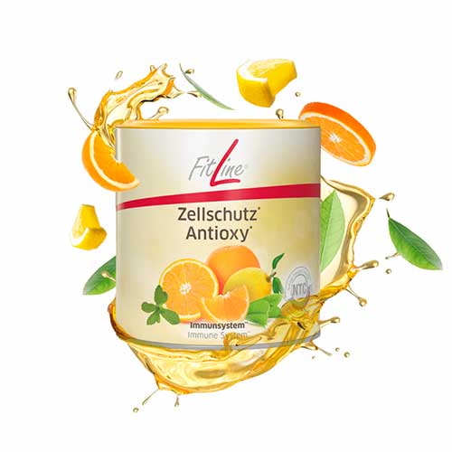Zellschutz